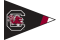 U South Carolina